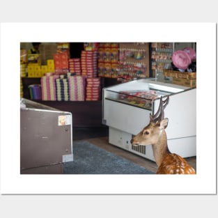 A deer giving me the disappointed look for spoiling its chance of sneaking into the store Posters and Art